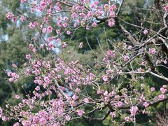 -西湖公园(鼓楼区)