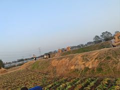 -乌村