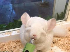 -龙猫仔乐园(惠福东路店)