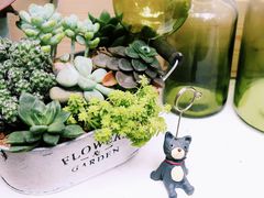 -拾壹cafe·工作室