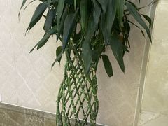 -宁波壹加壹口腔·矫正种植中心
