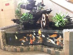 -汤泉良子·沐足·颂钵疗愈·SPA(珠江新城店)