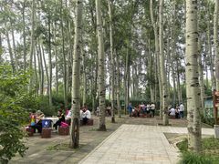 -仁和公园(顺义区)