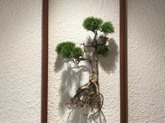 -石頭記榴莲烤肉(万达金街店)