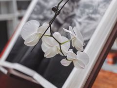 -二酉书店TOYOU BOOKS