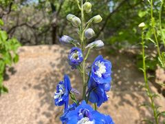 -云峰山自然风景区