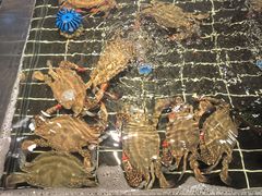 -好兄弟郭巨海鲜(天一阁店)