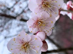 -花开海上生态园