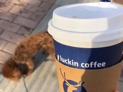 -瑞幸咖啡(长宁来福士B1层店)