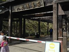 -九龙潭景区