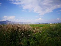 -敕勒川草原文化旅游区