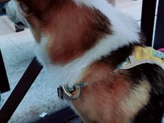 -DECAMERON十日谈(卓悦汇店)