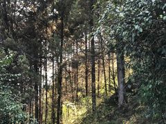 -蝴蝶泉公园
