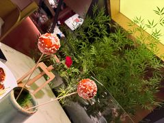 -初蓉丨遇见新川菜(亲贤街荣耀店)