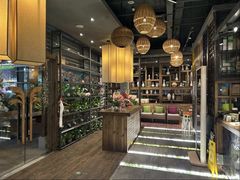 -芭缇沁园椰子鸡(中航紫金新天地店)