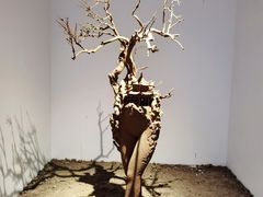 -苏州本色美术馆