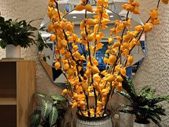 -鹿港小镇(黄金店)