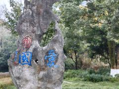 -重庆彩云湖湿地公园