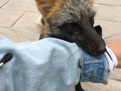 -九鼎铁刹山风景区