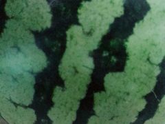 -城市名人壹超市(万达店)