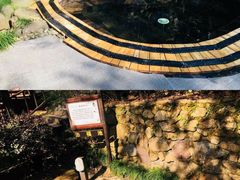 -天明山温泉大酒店