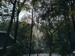 -九曜山