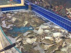水产区-乔哥铭洋海鲜自助(皇城恒隆广场店)
