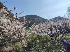 -白马涧龙池景区