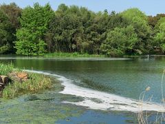 -梁鸿国家湿地公园