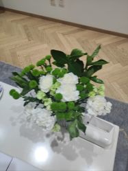 -HEYAN长风荷妍专业脱毛美肤
