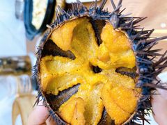 -海胆小馆(东北水饺·春柳店)