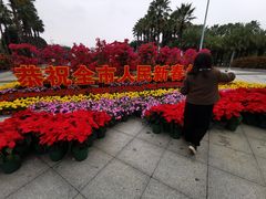 -南宁南湖公园