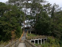 -广州市流溪河国家森林公园
