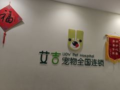 -艾吉宠物医院·疑难杂症转诊中心·猫友好(碧江路院)