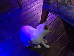 -星宿秘码(鼓浪屿老店)