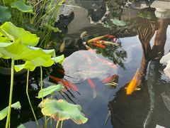 -道南書院·私房菜·早午茶·茶馆