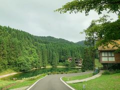 -武陵山森林公园