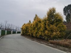 -白鹭湾湿地公园