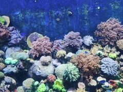 -珠海长隆海洋王国