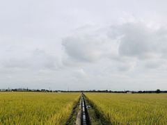 -嘉北郊野公园