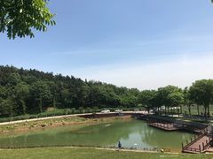 -大塘金香草谷