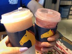 -春丽小马(济南恒隆广场店)