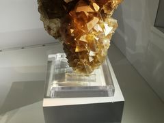 -中国地质大学逸夫博物馆