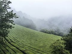 -敬亭山风景名胜区