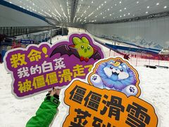 -哈尔滨热雪奇迹