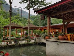 -源泉冷水鱼庄(小鱼洞店)
