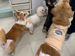 -怪兽屋·羊驼·猫咖·狗咖(俊华广场店)