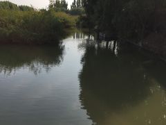 -白洋淀景区