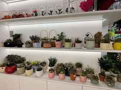 -巴黎春天(浦建店)