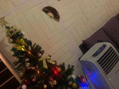 -ventus spa 沙巴亚庇正宗精油按摩会所